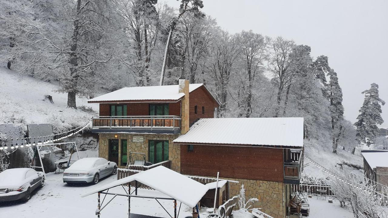 Villa A Barleon Bakuriani Esterno foto