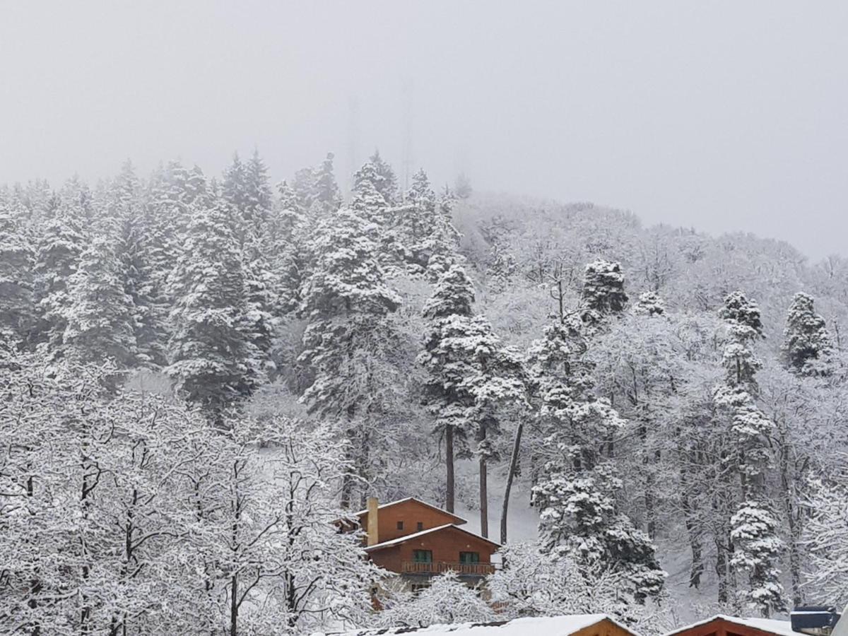 Villa A Barleon Bakuriani Esterno foto